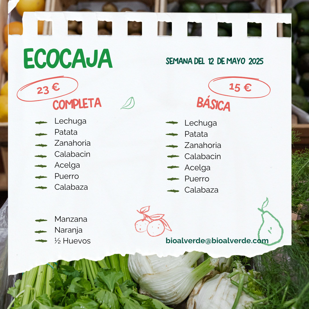 ECOCAJA COMPLETA