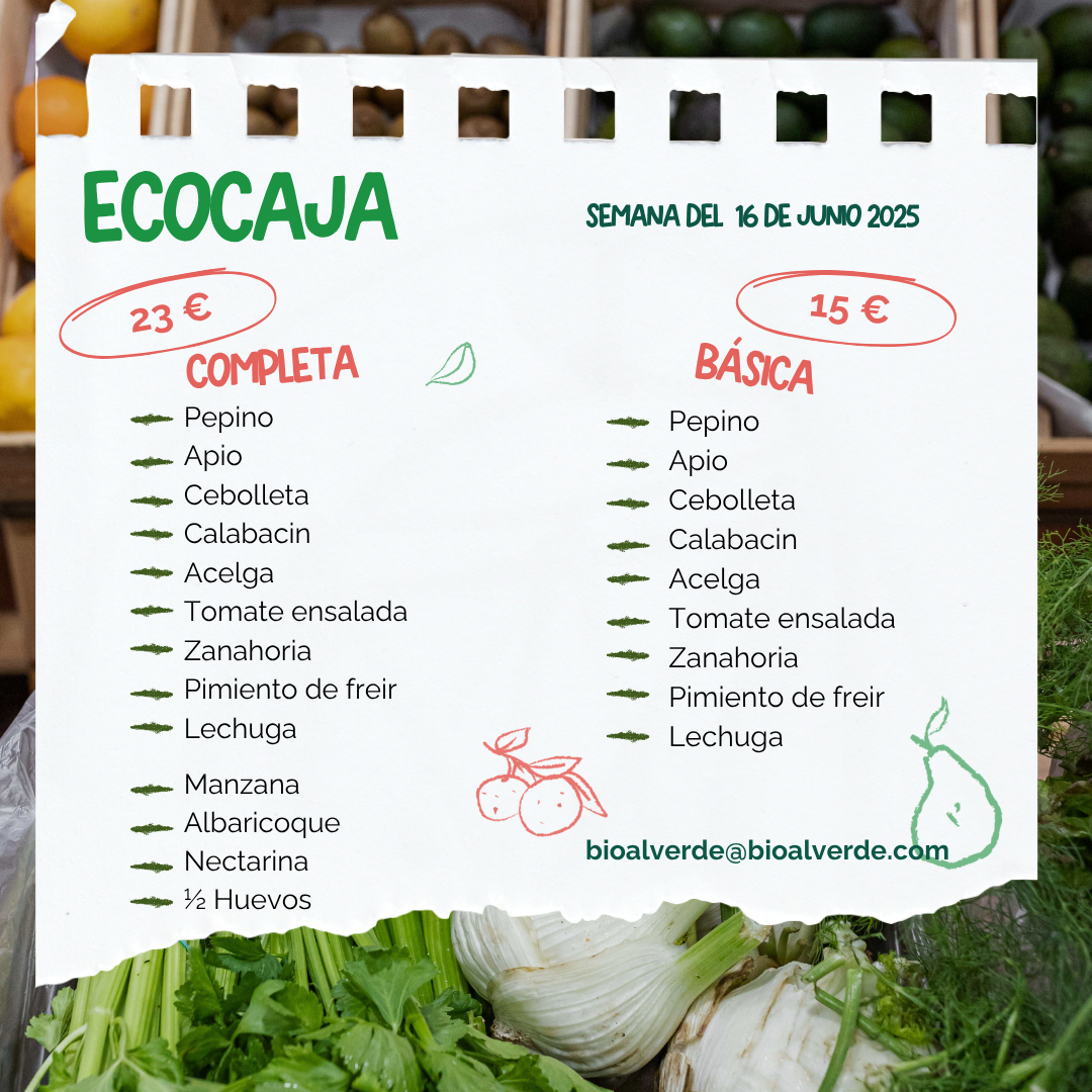 ECOCAJA BÁSICA