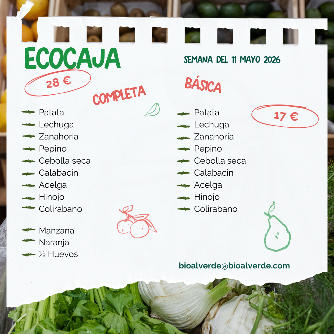 ECOCAJA COMPLETA