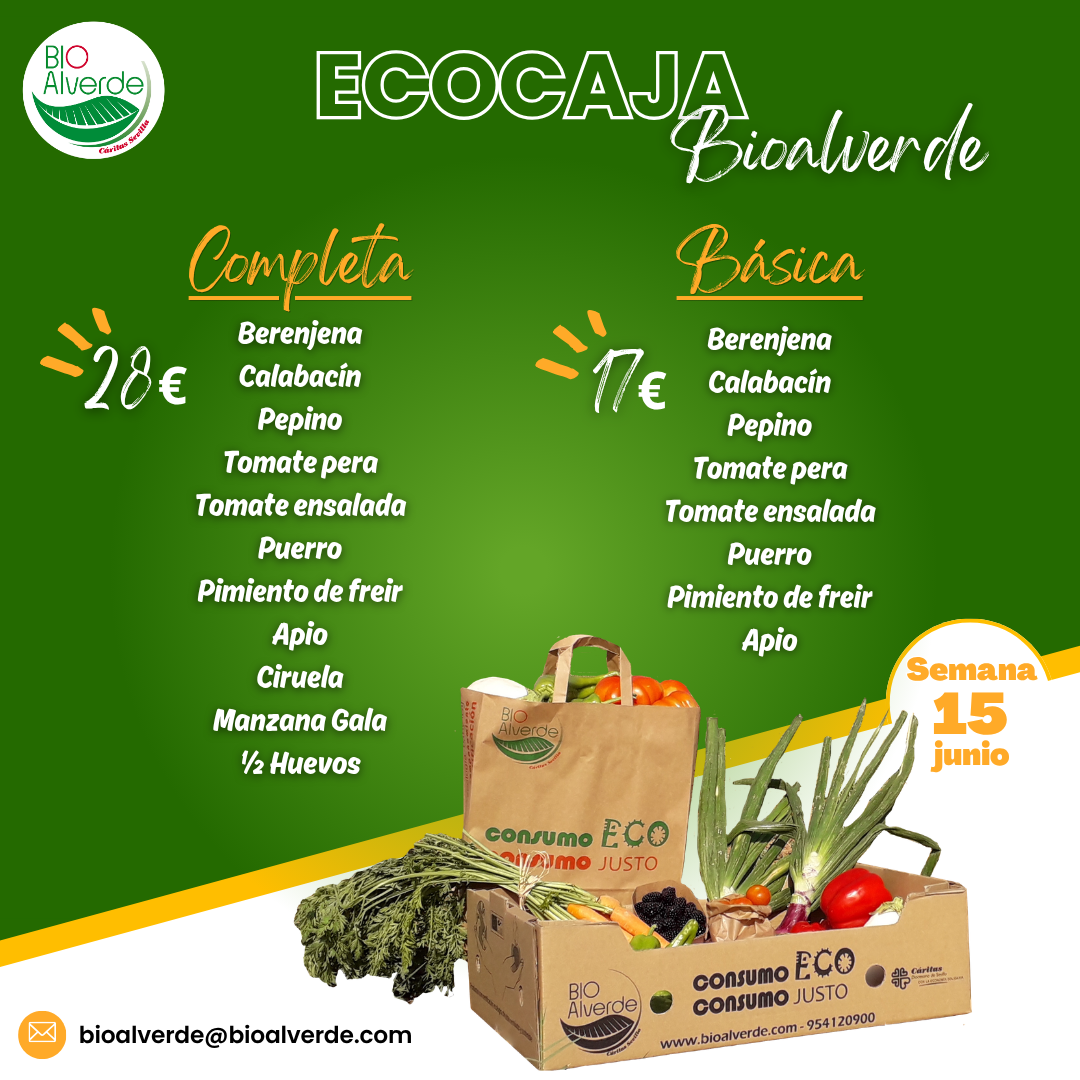ECOCAJA BÁSICA
