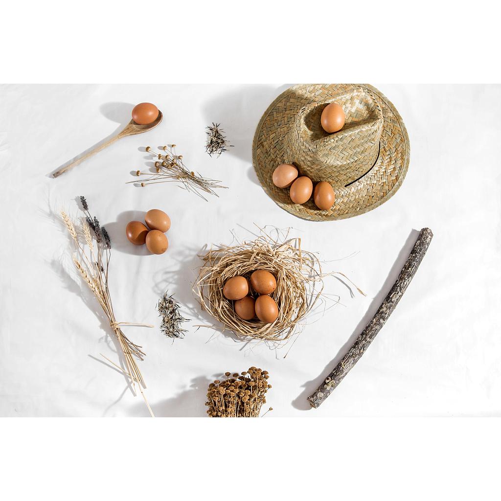 1/2 DOCENAS HUEVOS ECO