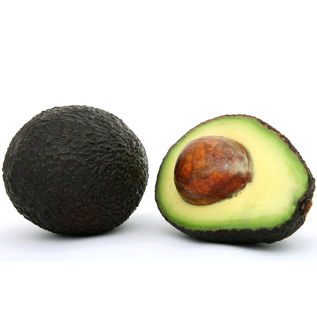 AGUACATES ECO