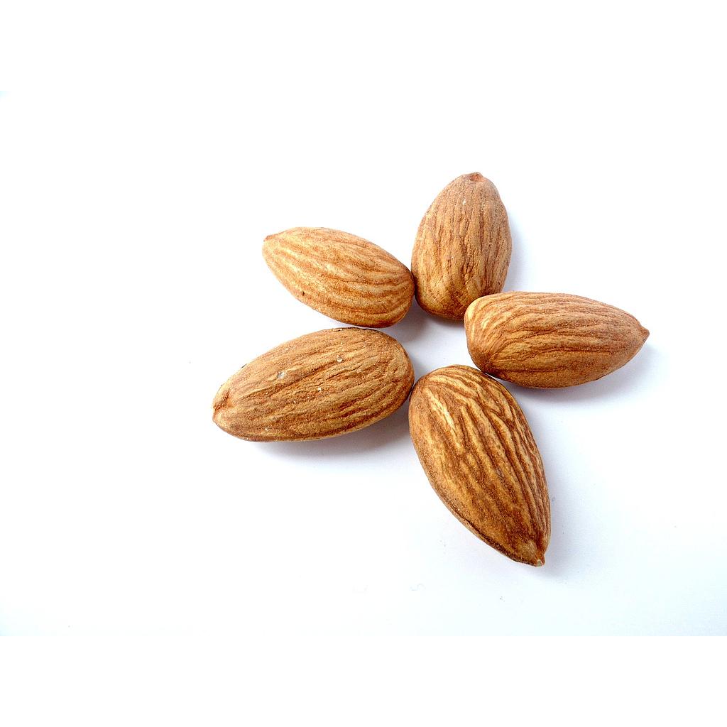 ALMENDRA PELADA CRUDA ECO100 gr 