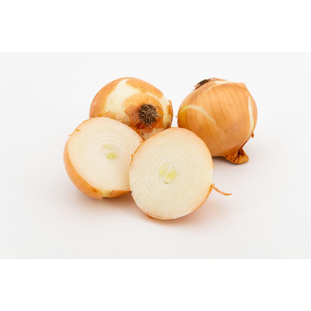 CEBOLLA SECA BLANCA ECO