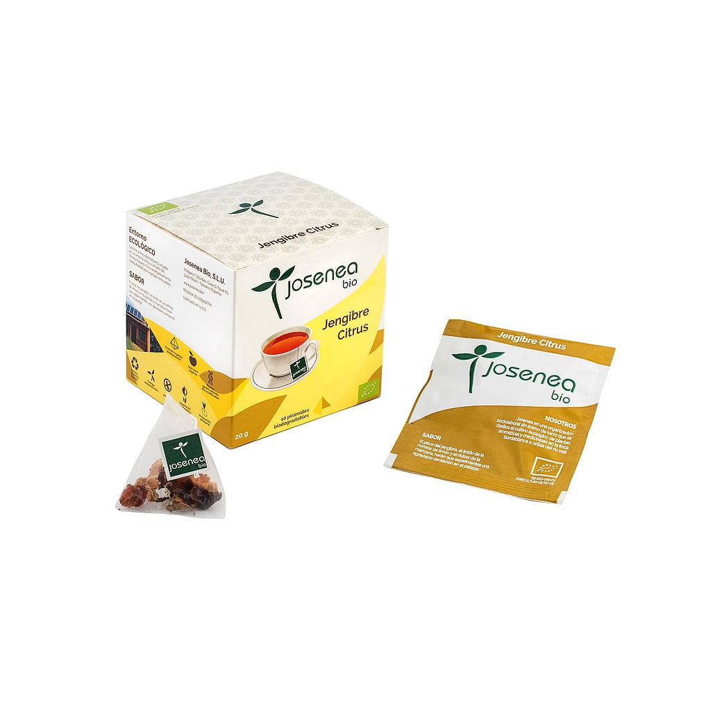 JENGIBRE CITRUS BIO (PIRAMIDES ENSOBRADAS)