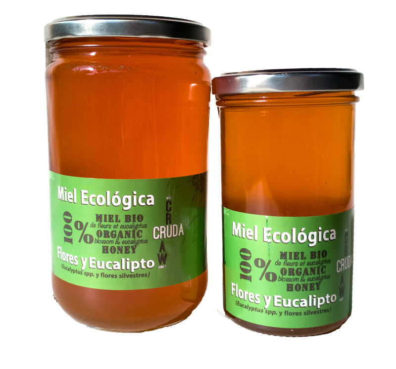 MIEL CRUDA FLORES Y EUCALIPTO 800GR ECO