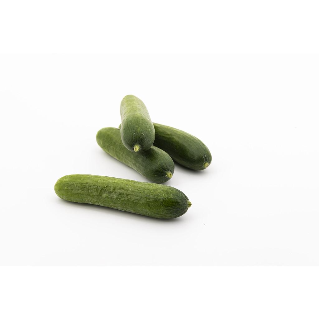 PEPINO ECO