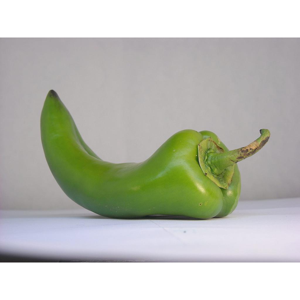 PIMIENTO FREIR ECO