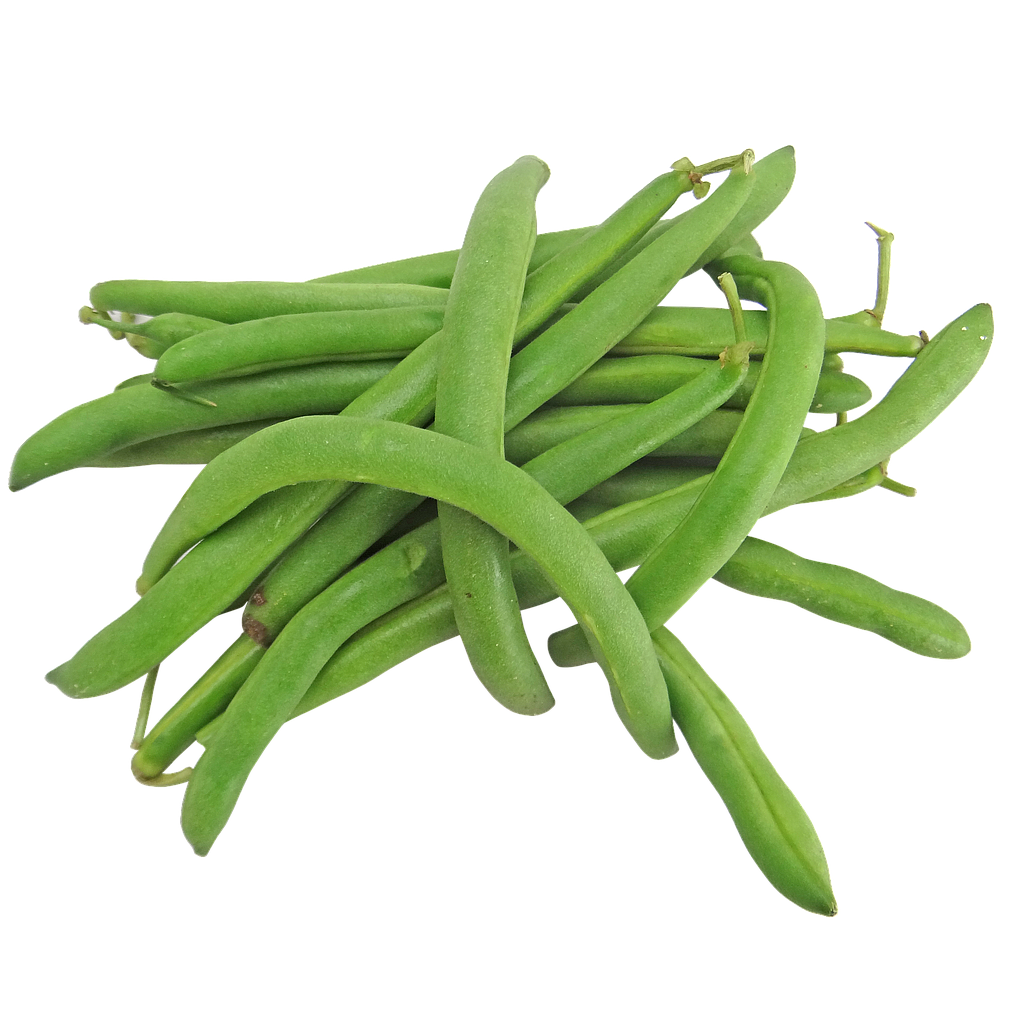 JUDIAS ECO