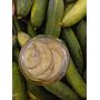 PEPINO AGRIDULCE  BIOALVERDE ECO