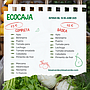 ECOCAJA BÁSICA